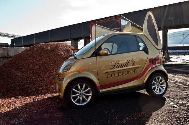 Bunny Car and Cocoa Shells 2
