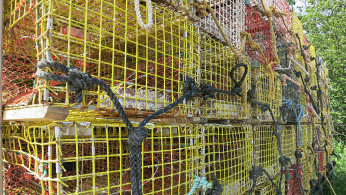 Lobster Traps, Port Clyde
