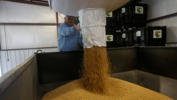Soybean Cargo filling