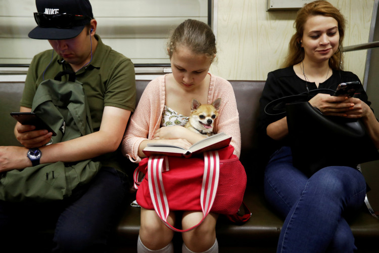 It may be harder to entice kids to read today due to a lot of distractions like smartphones, tablets, apps, movies, video games, and the list goes on. 