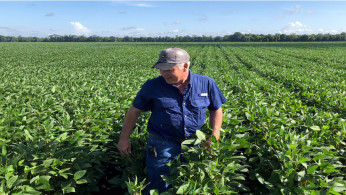  Soybean farmer Schexnayder Jr. overlooks his farm outside Baton Rouge in Erwinville