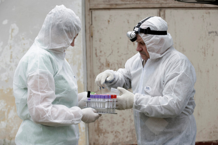 Inspectors Check Specimen Of African Swine Fever 