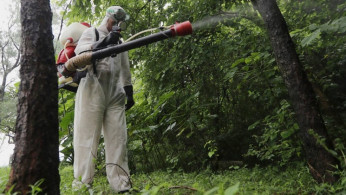Hong Kong’s Dengue Fever Outbreak Hits Record High