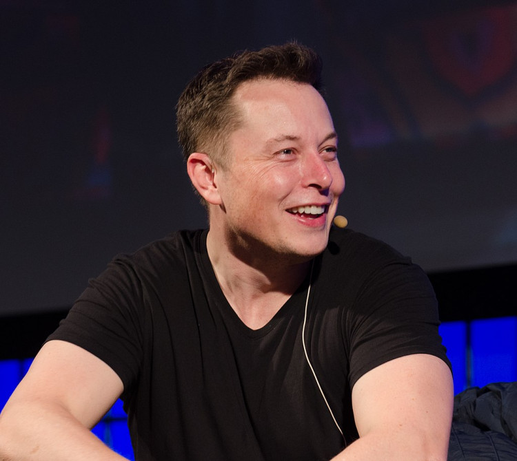 Elon Musk - The Summit 2013