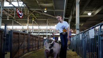 Reagan Gibson of Panora walks with a pig at the Iowa State Fair in Des Moines