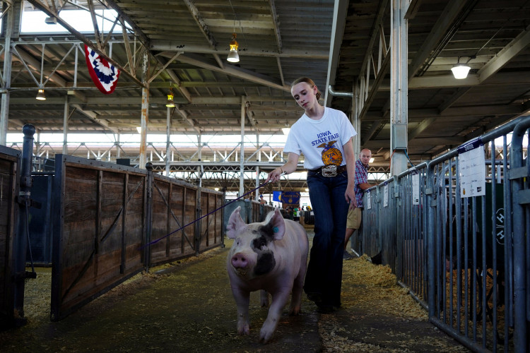 Reagan Gibson of Panora walks with a pig at the Iowa State Fair in Des Moines