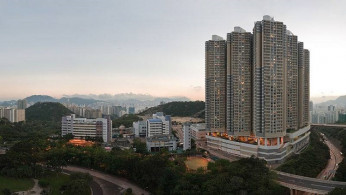 Helper’s Death Exposes Doubts Over Hong Kong Firms Paid Millions to Tend Trees