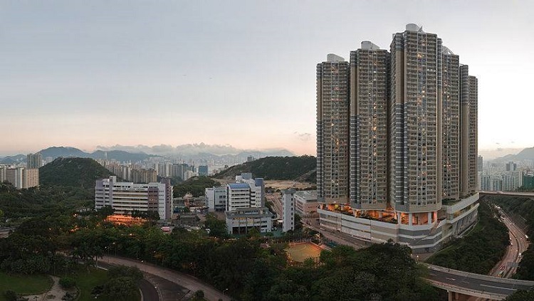 Helper’s Death Exposes Doubts Over Hong Kong Firms Paid Millions to Tend Trees