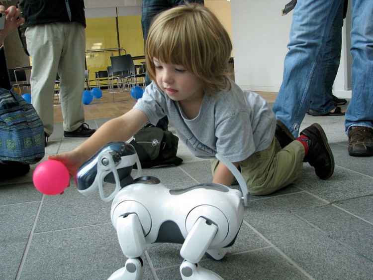 File:AIBO ERS-7 following pink ball held by child.jpg