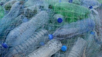 Plastic Bottles