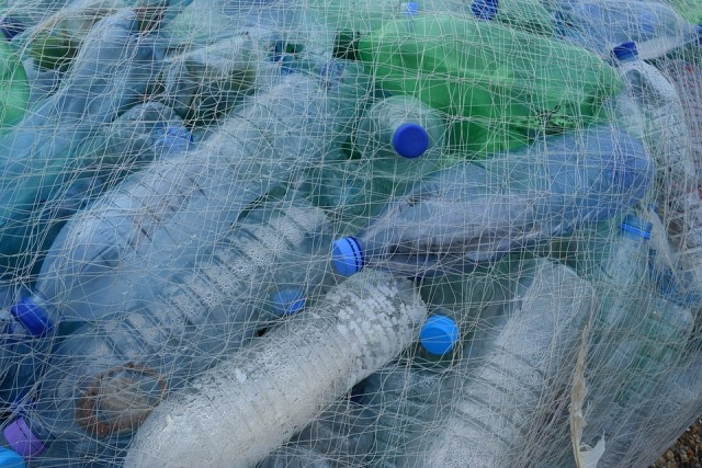 Plastic Bottles