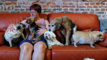 Pet care industry in Asia is now booming in spite of the threats of China and the United States' trade war. 