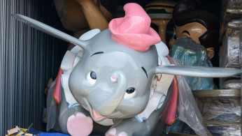 Disneyland theme park