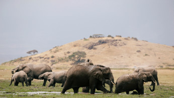 The delay of implementing the citywide ban is unintentionally allowing the 