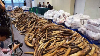 Hong Kong Customs To Use Anti-Gang Laws Against Smuggling of Endangered Species
