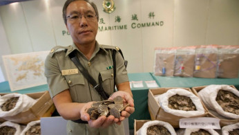 Consider Alternatives to Pangolin Scales, TCM Experts Urge in Hong Kong Conference