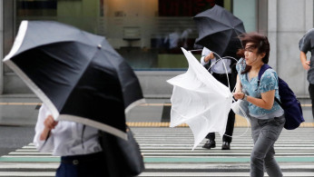 Scholars and environmentalists alike warned the proposed East Lantau Metropolis should at least double its budget to be able to fend off extreme weather.