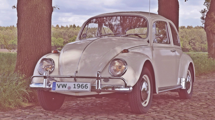 Beetle
