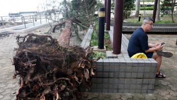 Three Hong Kong Workers Injured After Fence Fell Off While Removing Trees Toppled By Typhoon Mangkhut