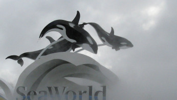 The SeaWorld amusement park is pictured in Orlando