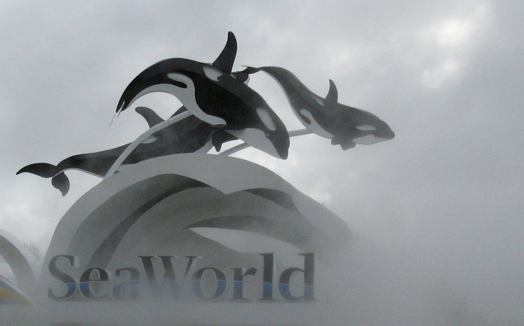 The SeaWorld amusement park is pictured in Orlando