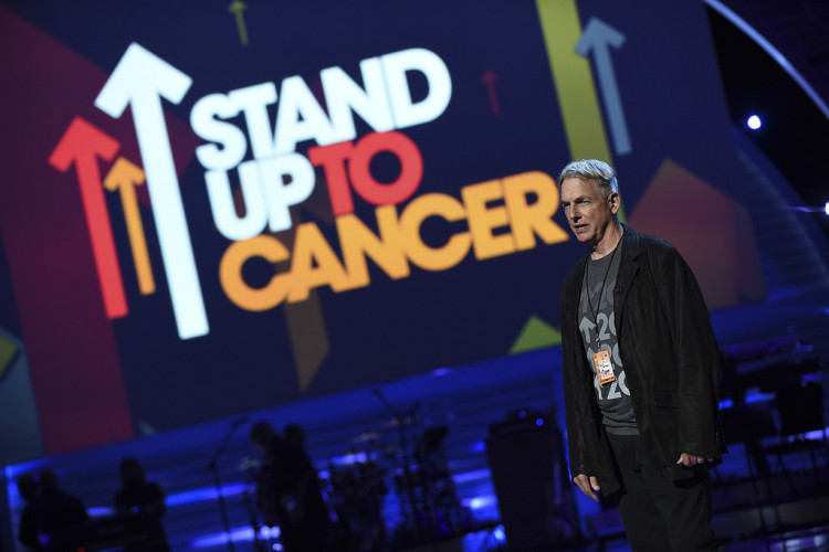 Fans may have the chance to meet the women in Leroy Jethro Gibbs' (Mark Harmon) life. 