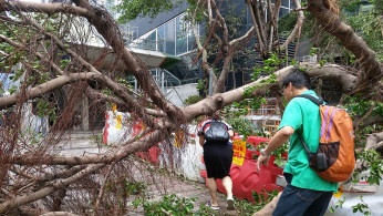 Typhoon Mangkhut