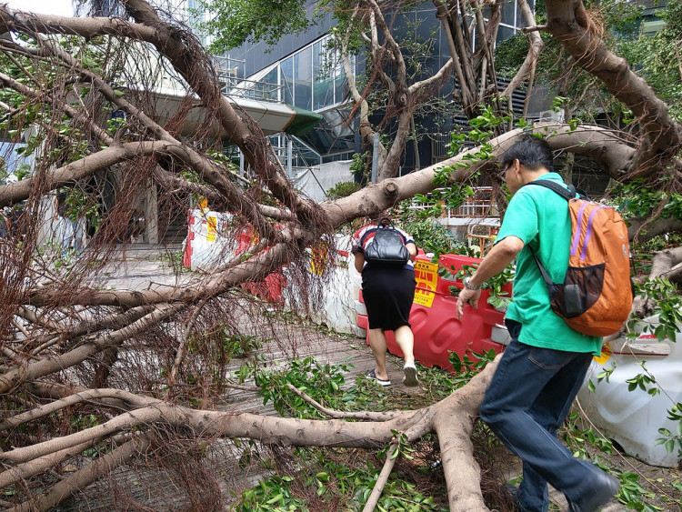 Typhoon Mangkhut