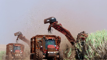 Sugar Cane Harvester