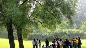 Tsinghua University