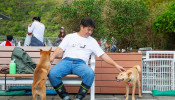 Adopting Dogs in Need in Hong Kong is Win-Win for Owners and Pets 