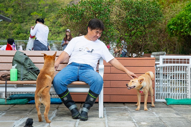 Adopting Dogs in Need in Hong Kong is Win-Win for Owners and Pets 