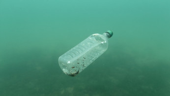 A plastic bottle is seen floating in an Adriatic sea of the island Mljet, Croatia, May 30, 2018. Picture taken May 30, 2018. 
