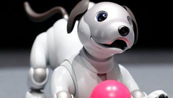 Robotic pets give the companionship as real animals do, but owners don't have the same responsibilities as having a real one.