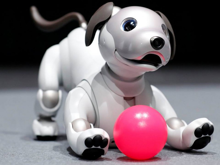 Robotic pets give the companionship as real animals do, but owners don't have the same responsibilities as having a real one.