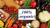 New Study Suggests Eating Organic Food Helps Prevent Cancer Development