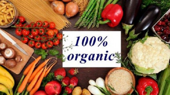 New Study Suggests Eating Organic Food Helps Prevent Cancer Development