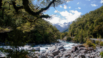 This is the best time to show the New Zealanders' friendliness to educate the nation's visitors.