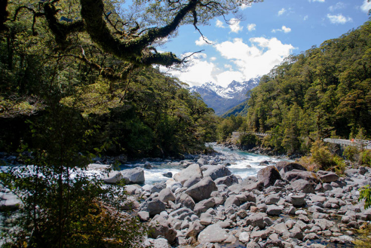This is the best time to show the New Zealanders' friendliness to educate the nation's visitors.