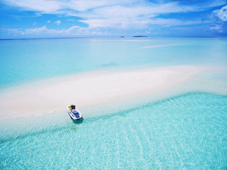 The leading global social travel company Contiki conducted a survey about how Millennials are willing to give up Netflix, coffee, alcohol, carbs and sex just to be able to enjoy traveling.