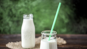 Dairy Products