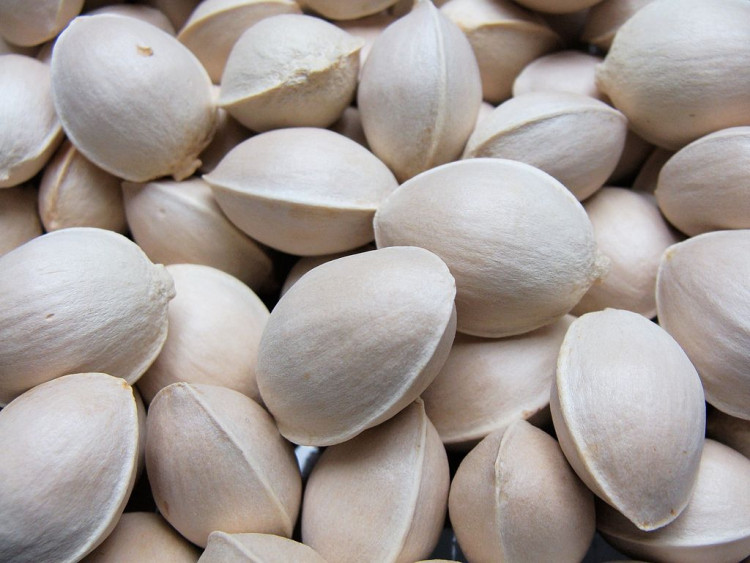 Gingko Seeds
