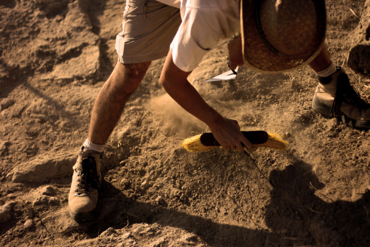 Archeologist