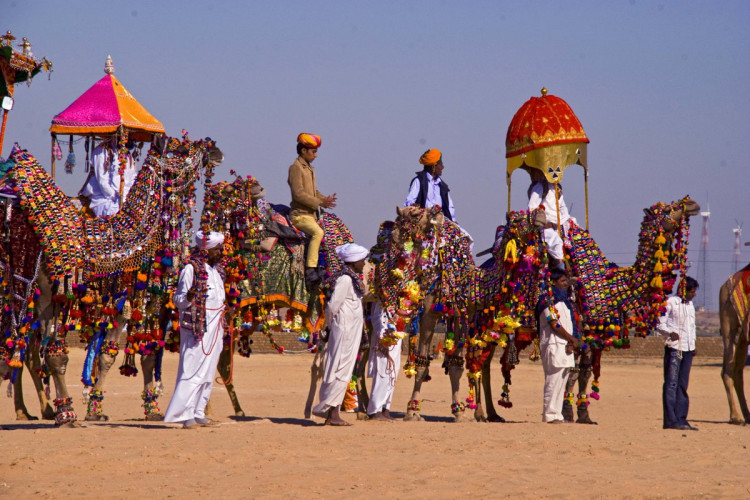 Pushkar Camel Fair in Rajasthan 