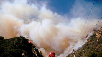 Wild Fire