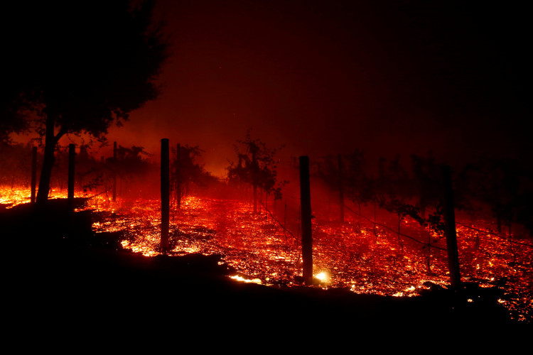 California wildfires have been continuously devouring the state that already killed 31 people, destroyed about 7,000 structures, and the figures are still expected to increase.