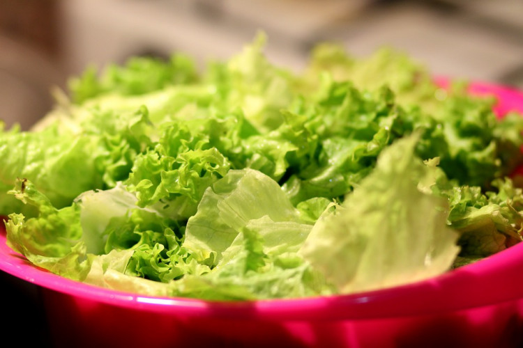 Romaine Lettuce