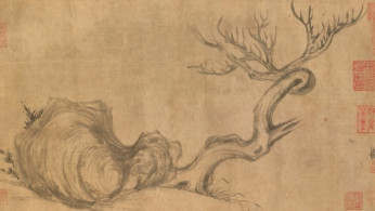 Wood and Rock