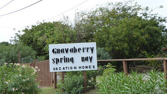 Guavaberry Spring Bay