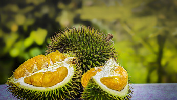 Durian